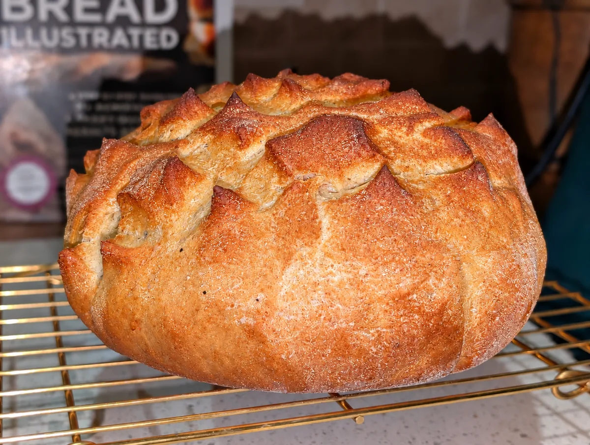 The finished Blue Moon boule cooling on a gold wire rack on the kitchen counter, its crisscross-scored crust baked into deep golden peaks