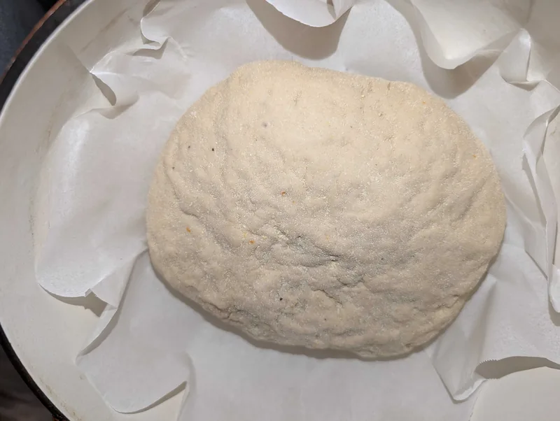 The proofed boule dusted with cornmeal, sitting on its parchment round inside the Dutch oven