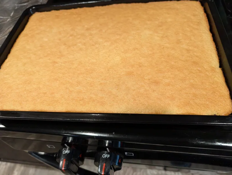 The finished sponge sheet, evenly golden, still in its pan on the stovetop